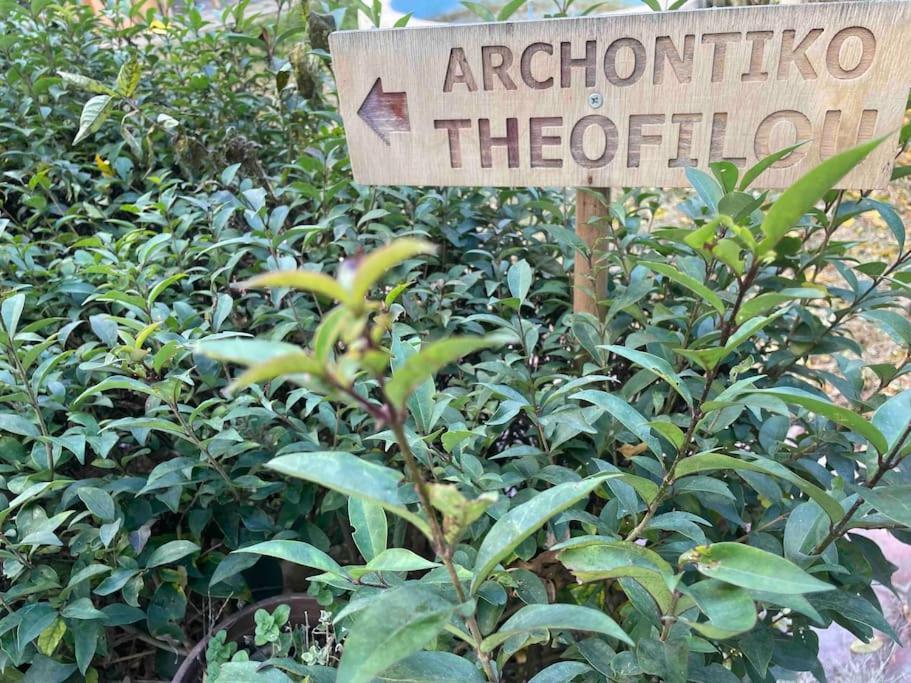 Archontiko Theofilou #2 With Private Parking Space Lägenhet Thessaloníki Exteriör bild